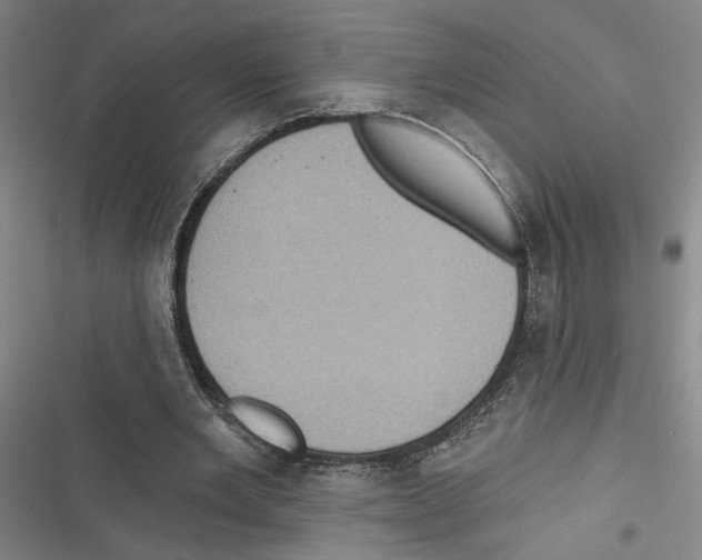 X0000116770485201001141454