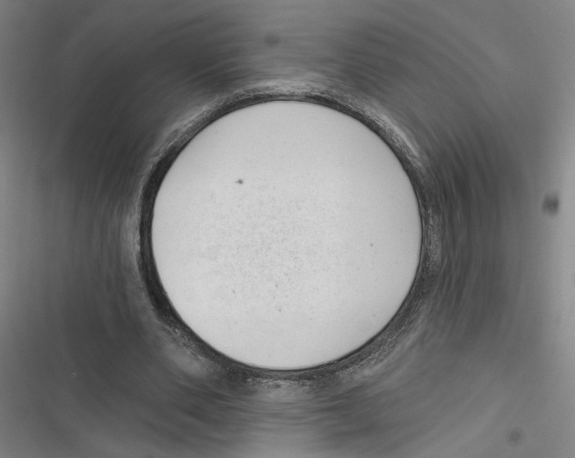 X0000116770486201001141454