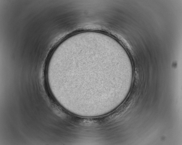X0000116770487201001141454