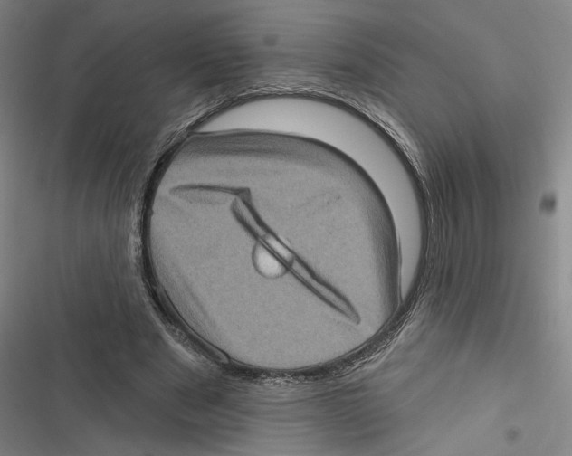 X0000116770489201001141454