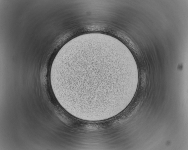 X0000116770490201001141454