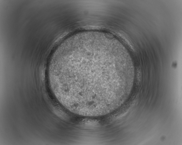 X0000116770491201001141454