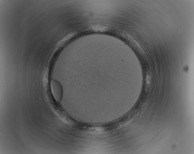 X0000116770492201001141454