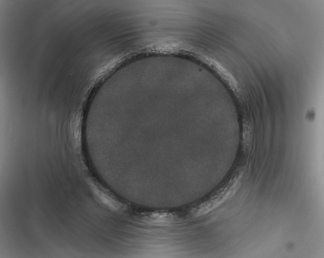 X0000116770493201001141454
