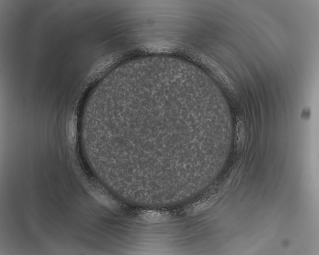 X0000116770494201001141454