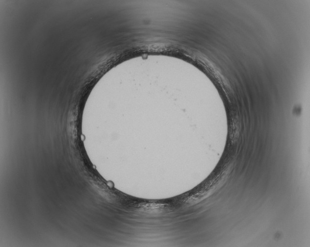 X0000116770497201001141454