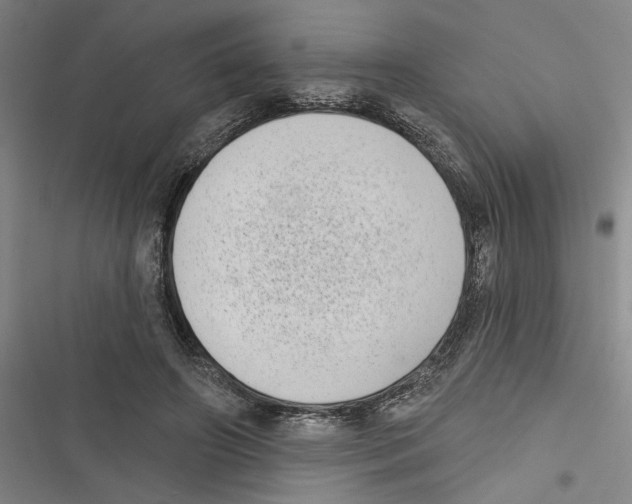X0000116770498201001141453