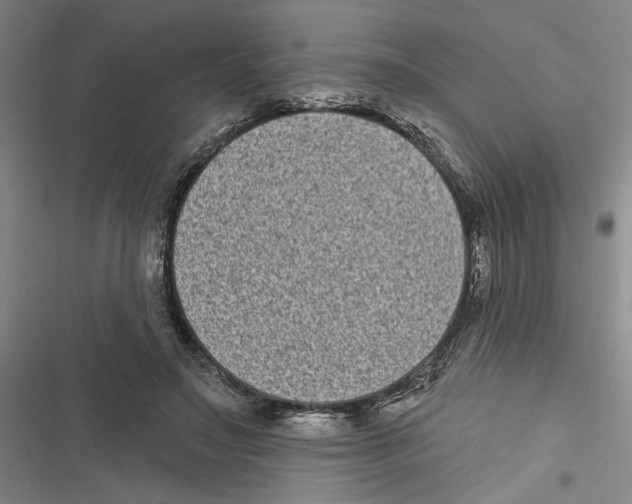 X0000116770499201001141453
