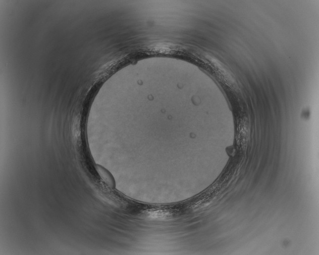 X0000116770500201001141453