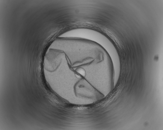X0000116770501201001141453