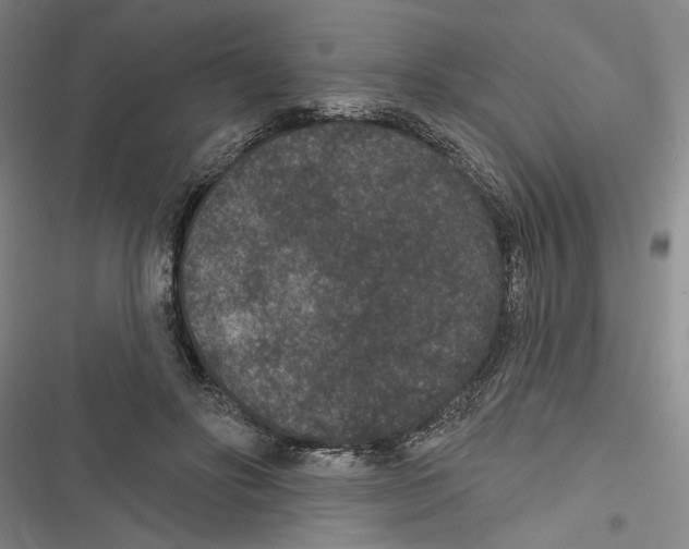 X0000116770502201001141453
