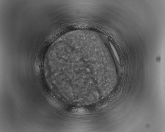X0000116770503201001141453