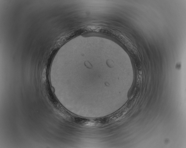 X0000116770504201001141453