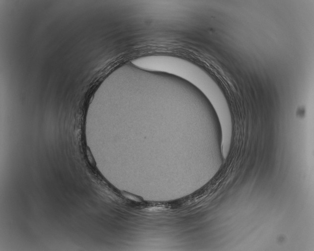 X0000116770505201001141453