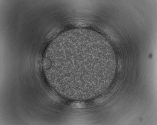 X0000116770506201001141453