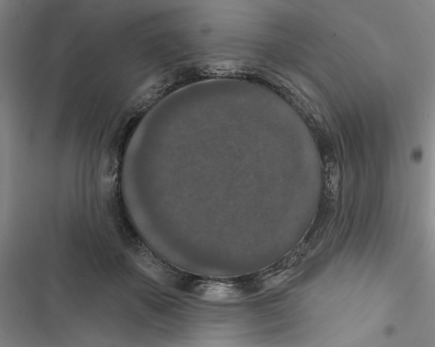 X0000116770507201001141453