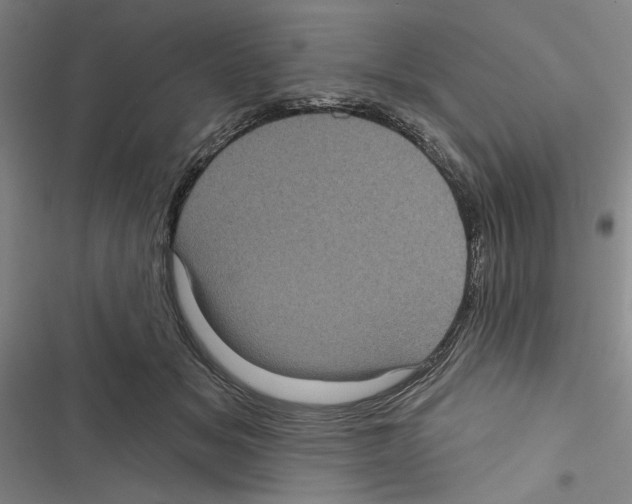 X0000116770509201001141453