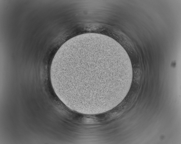 X0000116770510201001141453