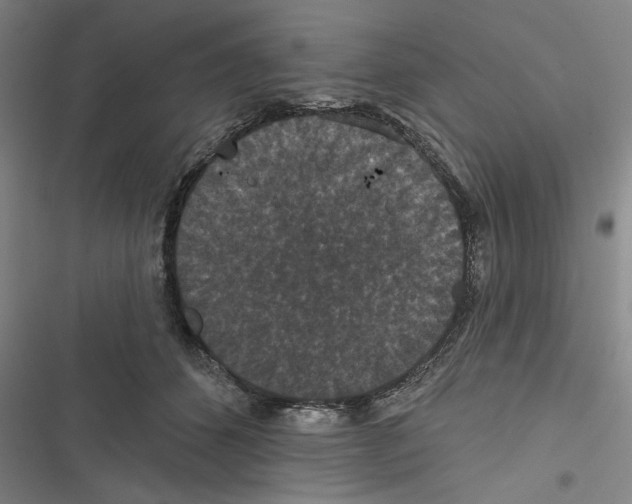 X0000116770512201001141453