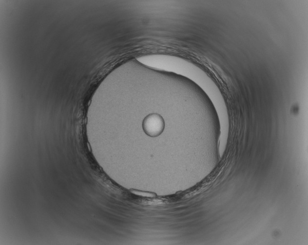 X0000116770513201001141453