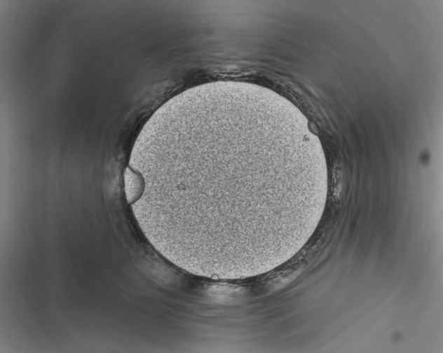 X0000116770515201001141453