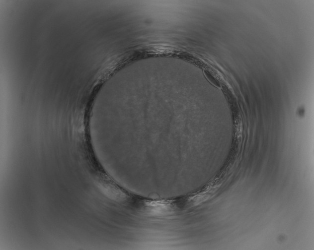 X0000116770516201001141453