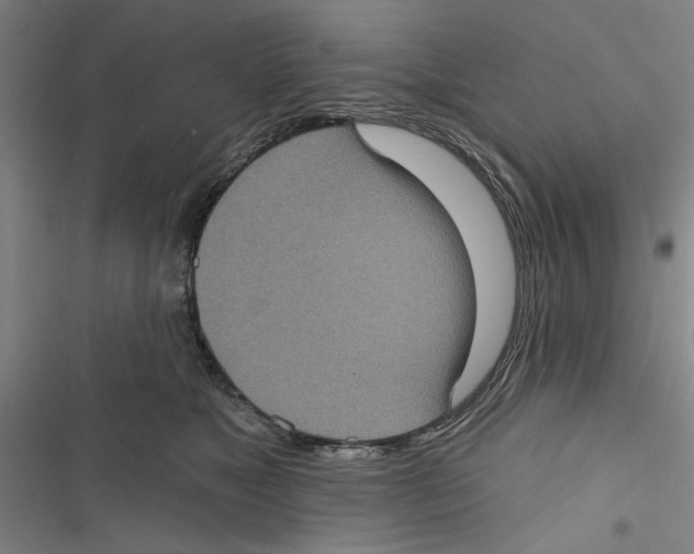 X0000116770517201001141453