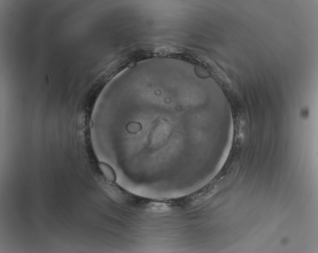 X0000116770519201001141453