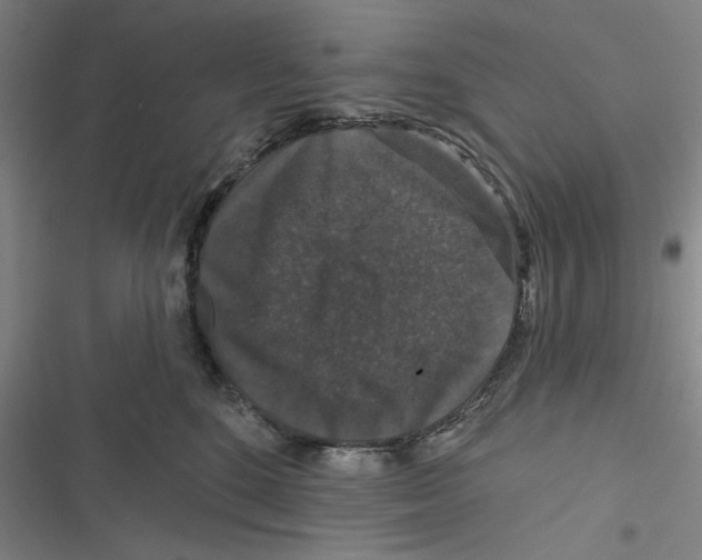 X0000116770520201001141453