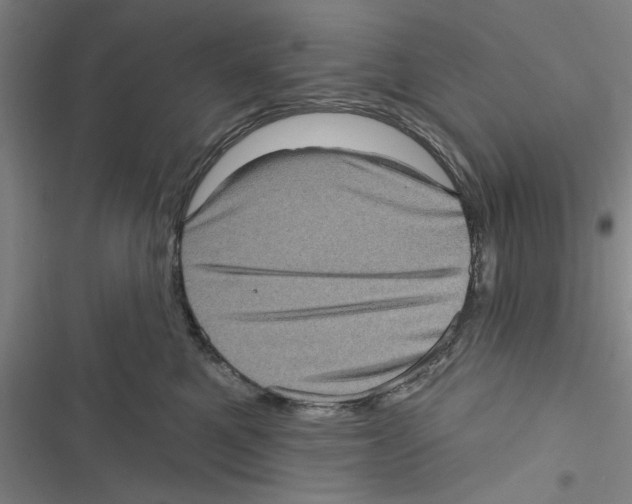 X0000116770521201001141453