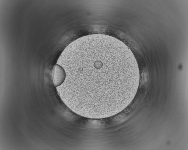 X0000116770522201001141453