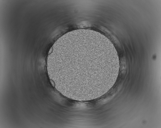 X0000116770523201001141453