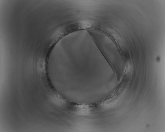 X0000116770524201001141453