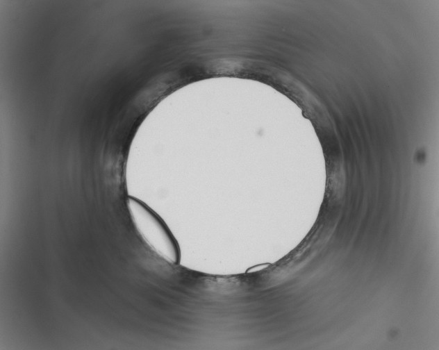 X0000116770525201001141453