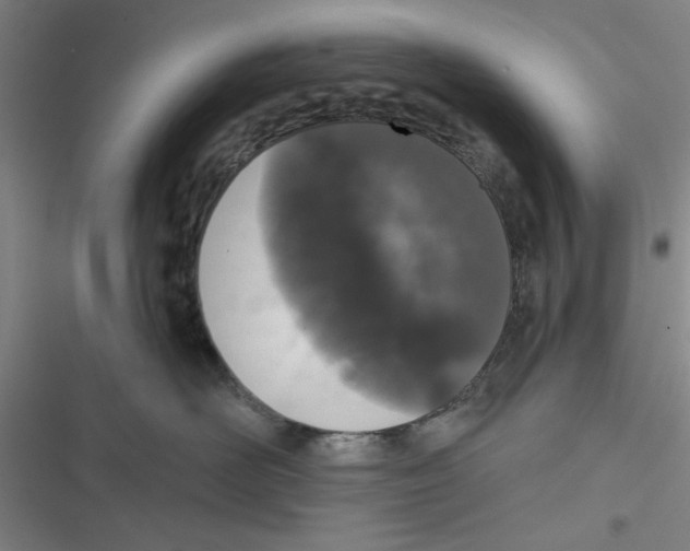 X0000116770526201001141453