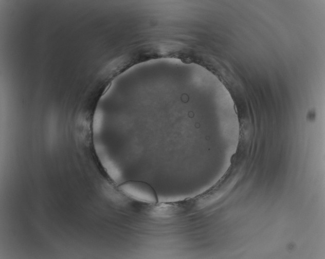 X0000116770527201001141453