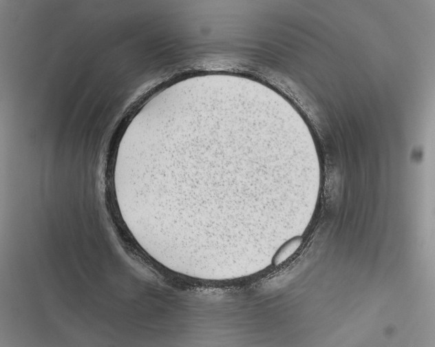 X0000116770530201001141452