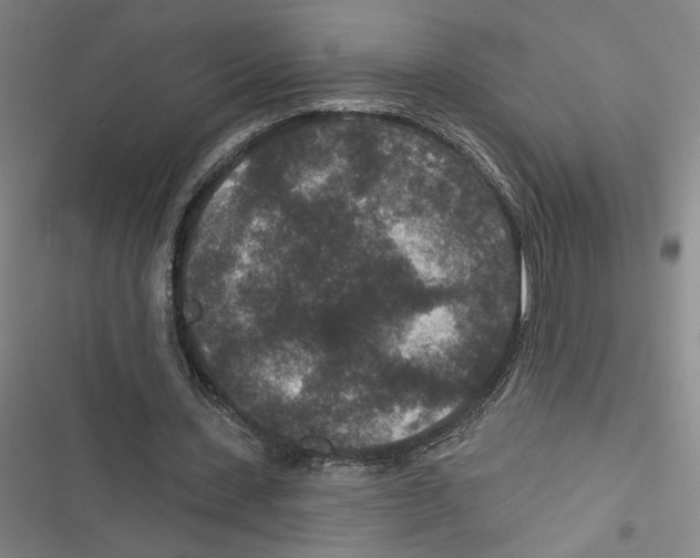 X0000116770531201001141452