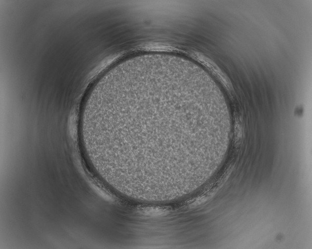 X0000116770533201001141452