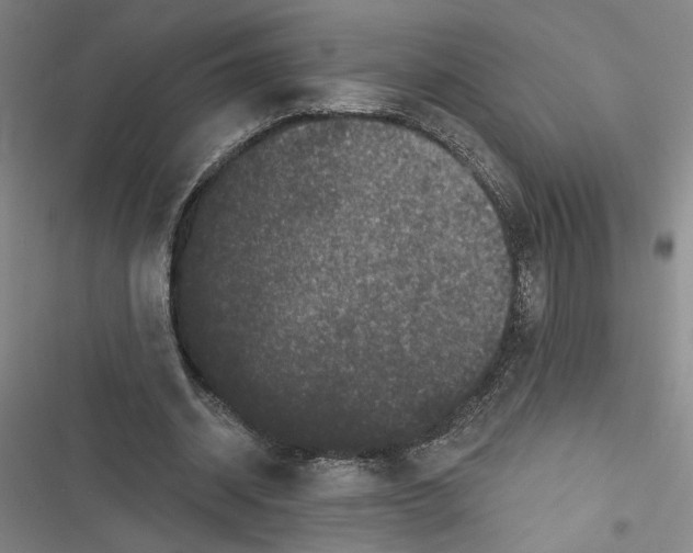 X0000116770534201001141452