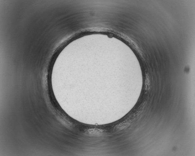 X0000116770535201001141453