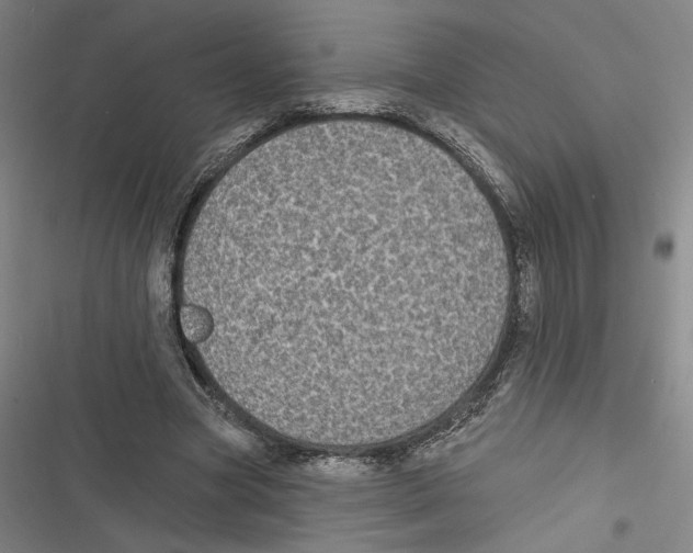 X0000116770537201001141453