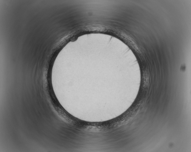 X0000116770538201001141453