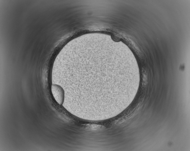 X0000116770539201001141453