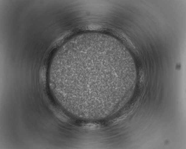 X0000116770542201001141453