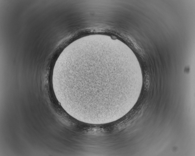 X0000116770543201001141453