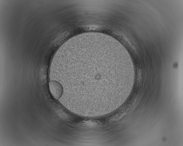 X0000116770545201001141453