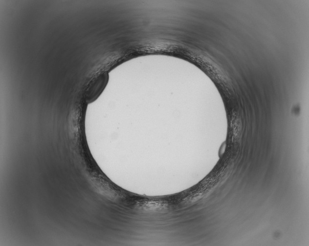 X0000116770546201001141453