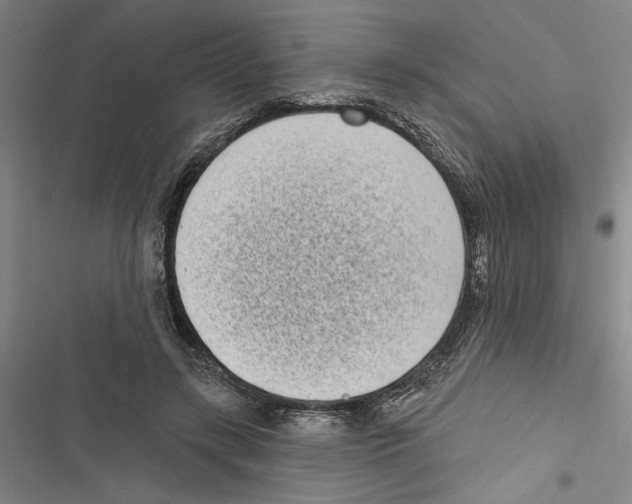 X0000116770547201001141453