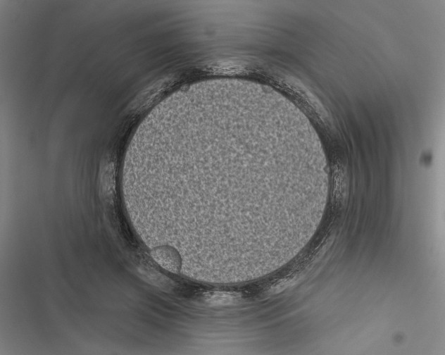 X0000116770549201001141453